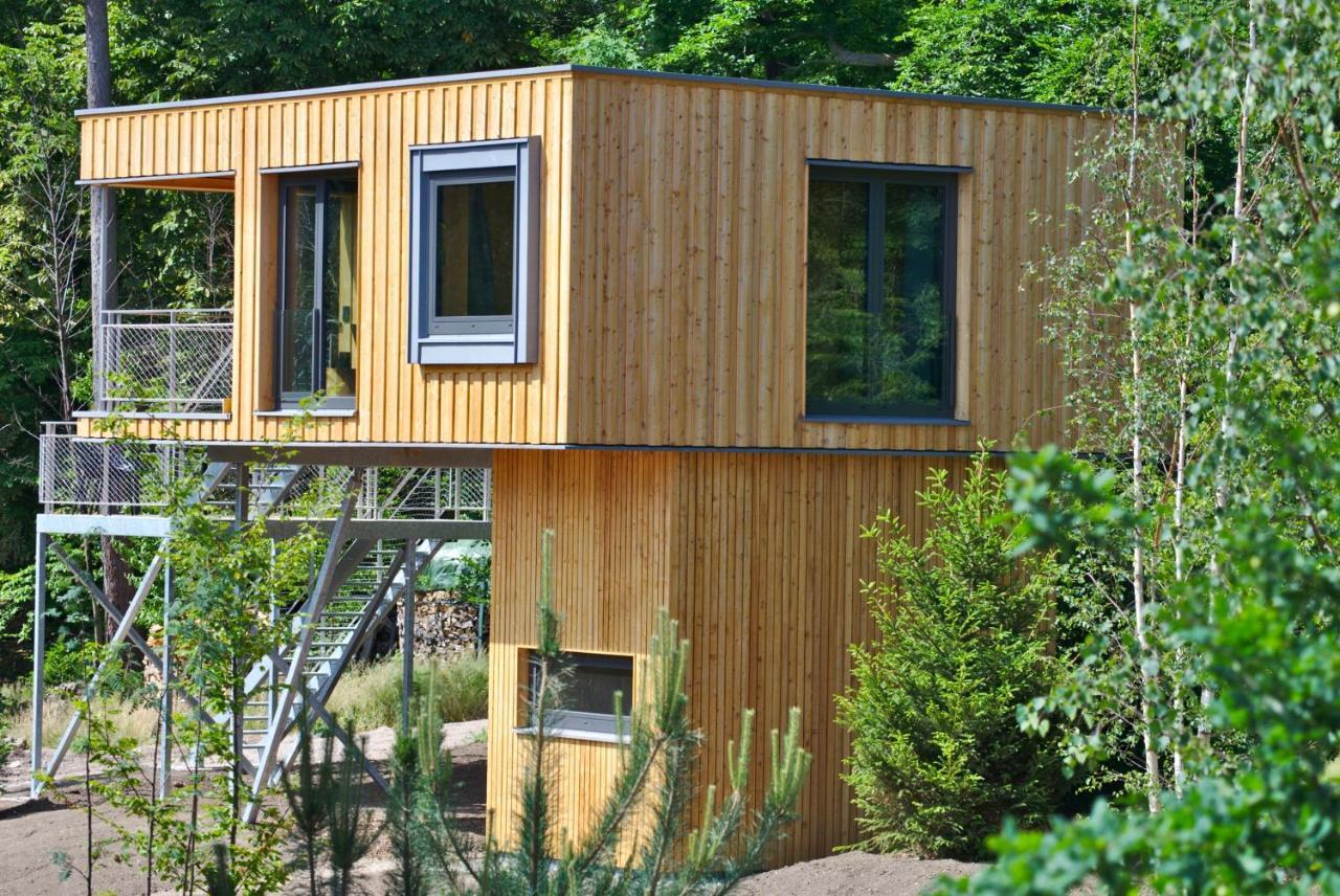 Baumwipfel-Resort "Lug Ins Land" Ilsenburg Exterior photo