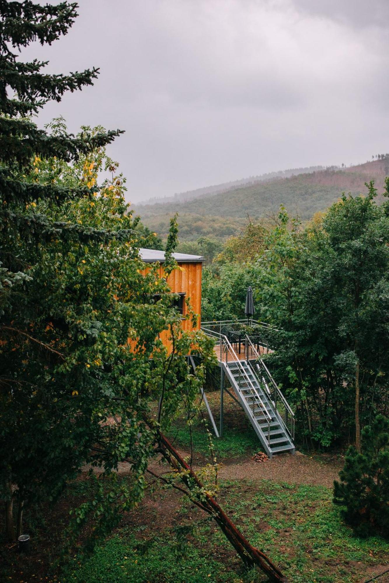 Baumwipfel-Resort "Lug Ins Land" Ilsenburg Exterior photo